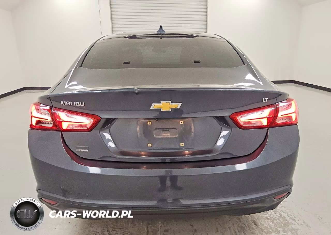 2019 Chevrolet Malibu Lt VIN:1G1ZD5ST3KF137376 - 6