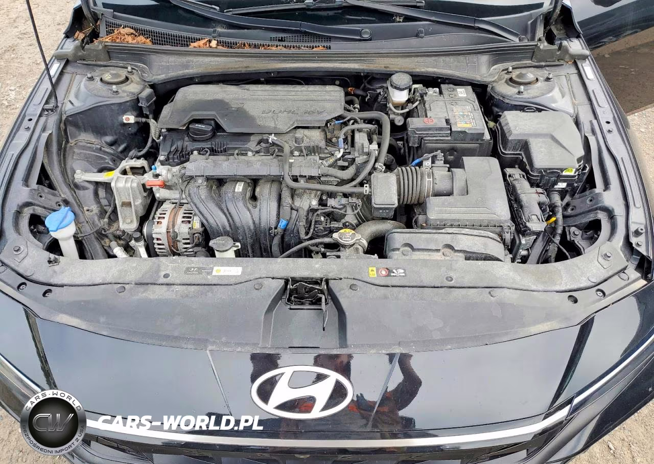 2024 Hyundai Elantra Limited VIN:KMHLP4DG3RU744930 - 11