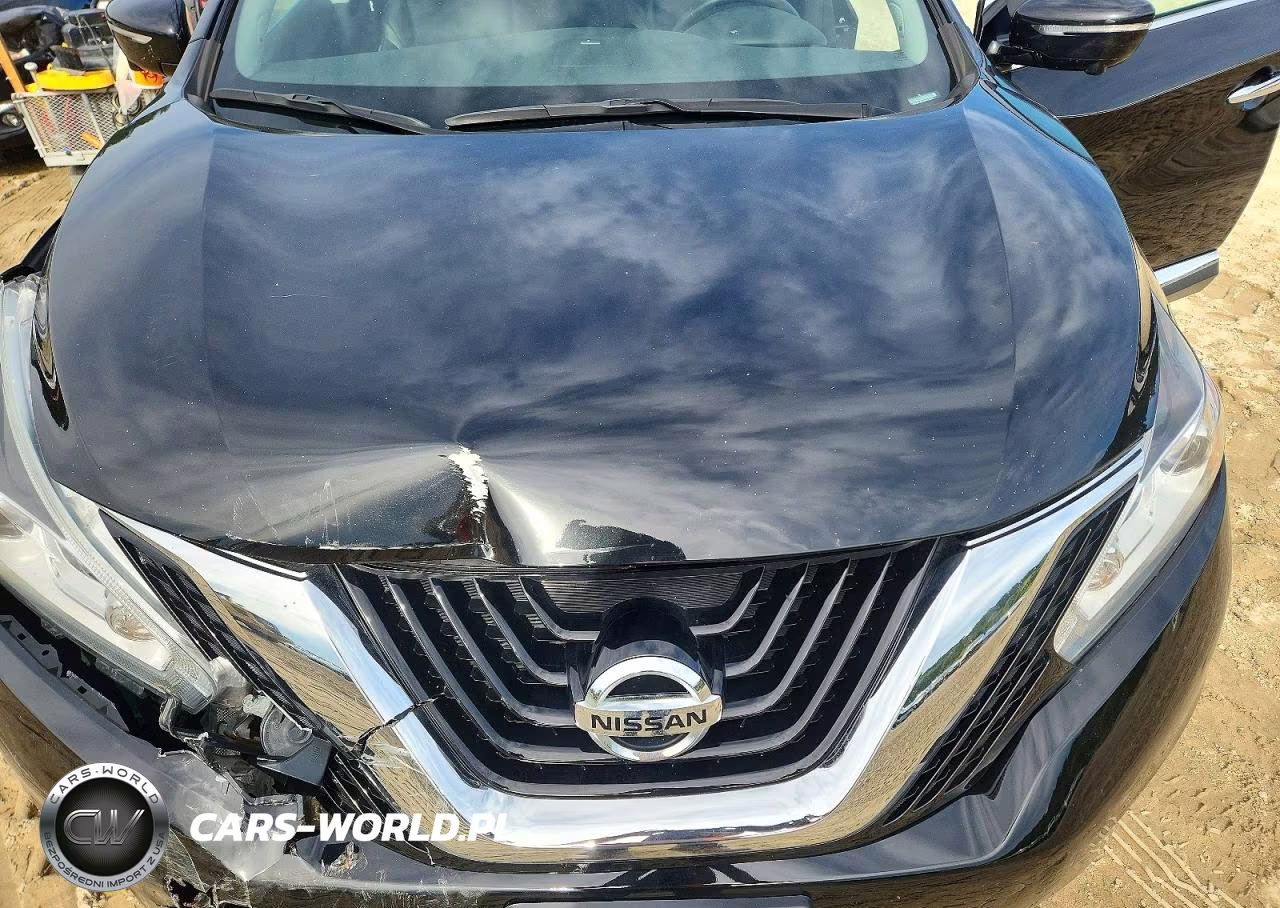 2015 Nissan Murano Sl VIN:5N1AZ2MH2FN230376 - 12