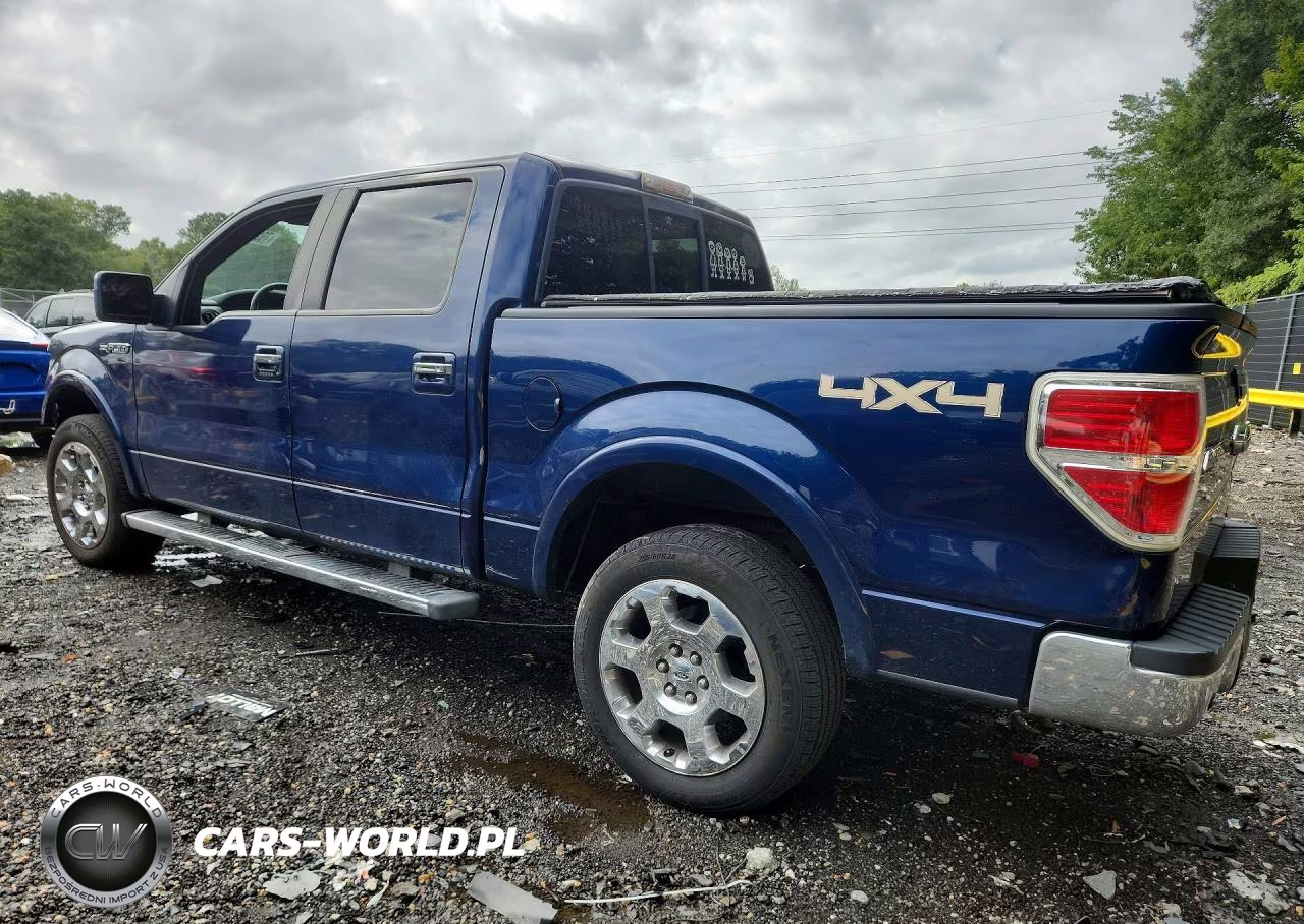 2011 Ford F150 Supercrew VIN:1FTFW1EF5BFA29165 - 2