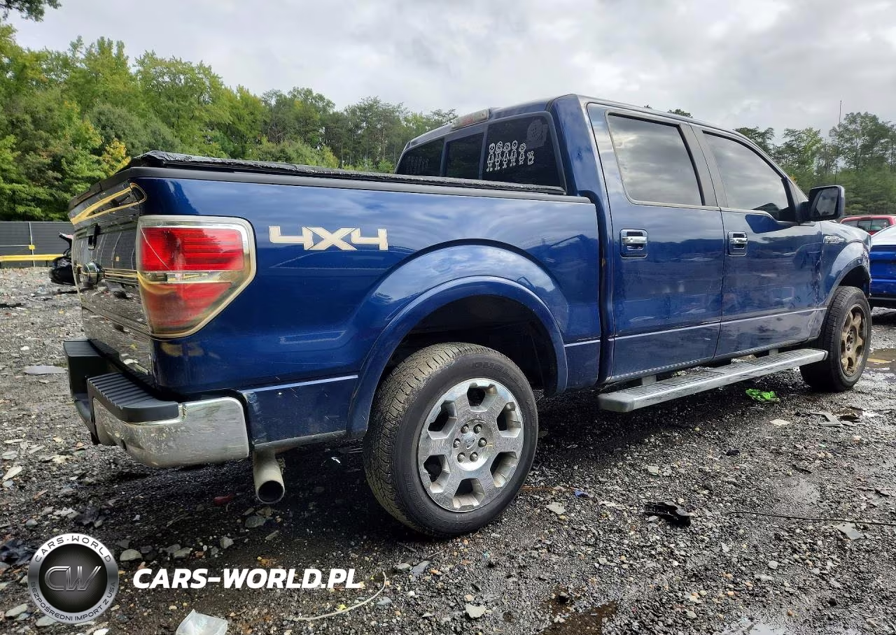 2011 Ford F150 Supercrew VIN:1FTFW1EF5BFA29165 - 3