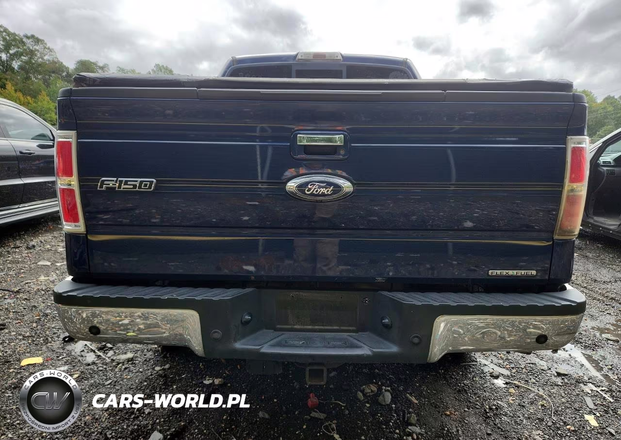 2011 Ford F150 Supercrew VIN:1FTFW1EF5BFA29165 - 6