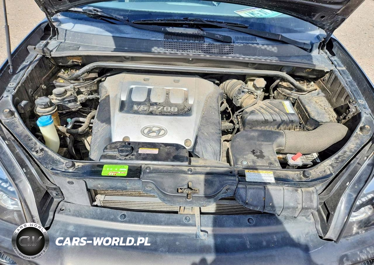 2005 Hyundai Tucson Gls VIN:KM8JN72D95U116453 - 11