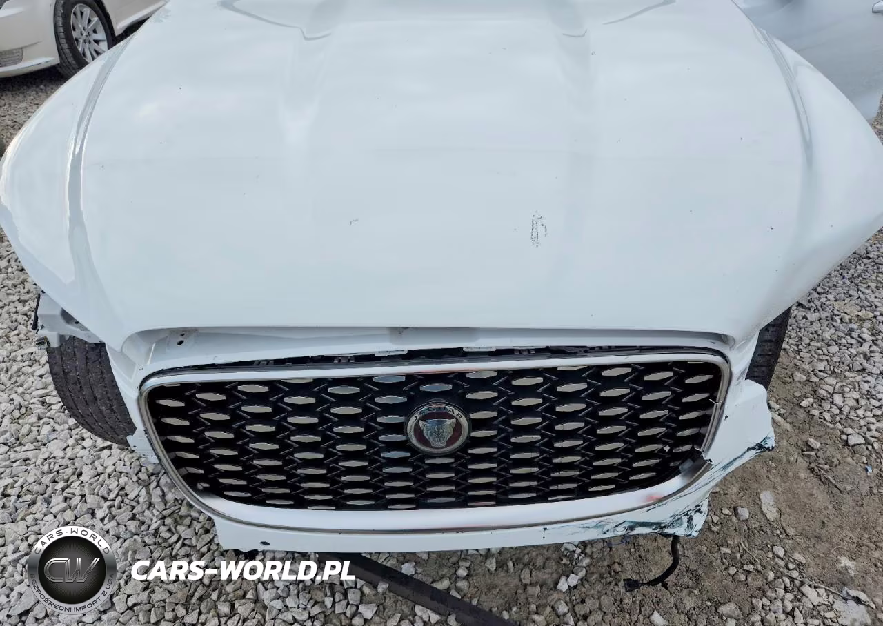 2023 Jaguar F-Pace S VIN:SADCJ2EX4PA710572 - 12