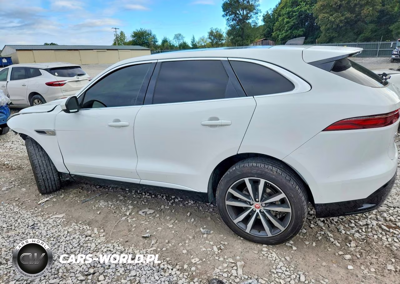 2023 Jaguar F-Pace S VIN:SADCJ2EX4PA710572 - 2