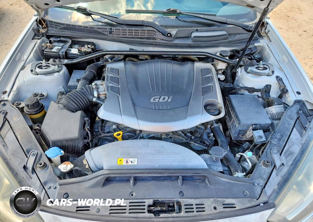 2016 Hyundai Genesis 3.8 Ultimate VIN:KMHHU6KJ2GU135107 - 11