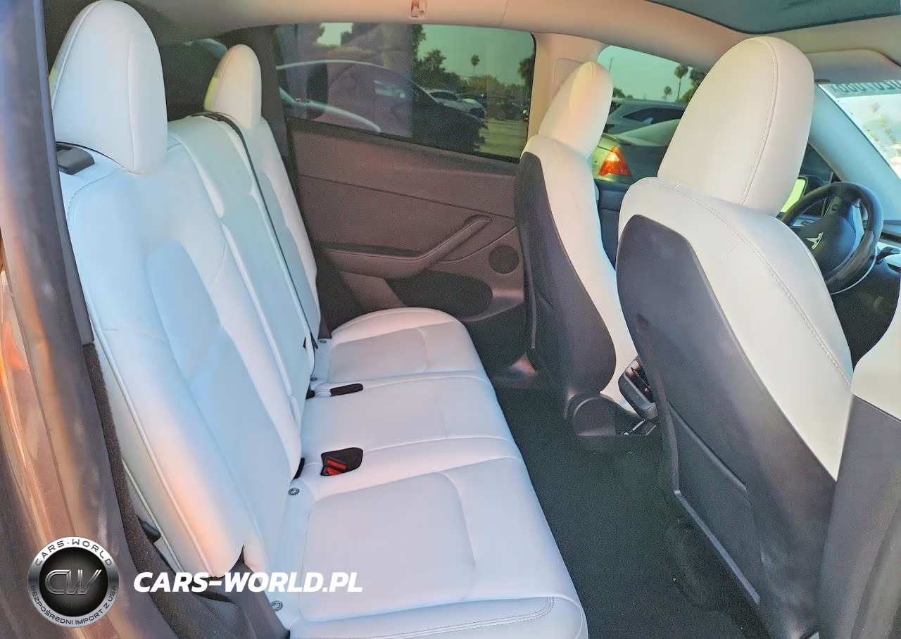 2023 Tesla Model Y VIN:7SAYGDEE6PF871283 - 10
