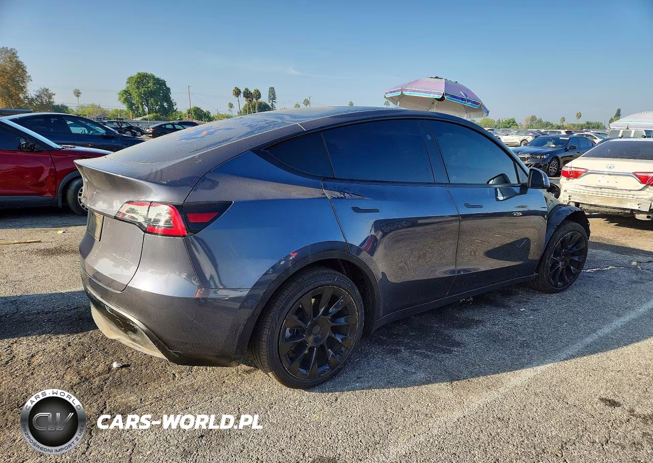 2023 Tesla Model Y VIN:7SAYGDEE6PF871283 - 3