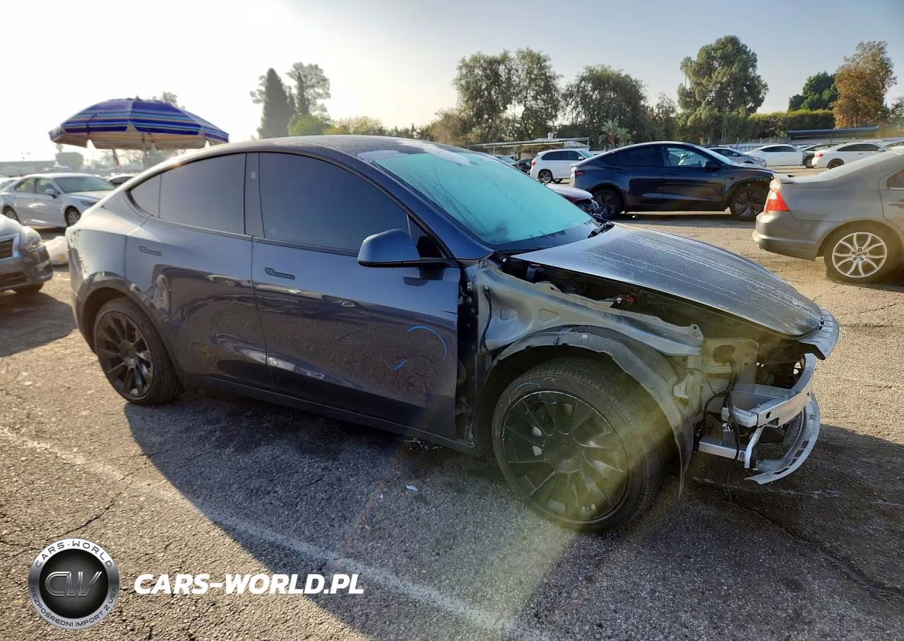 2023 Tesla Model Y VIN:7SAYGDEE6PF871283 - 4
