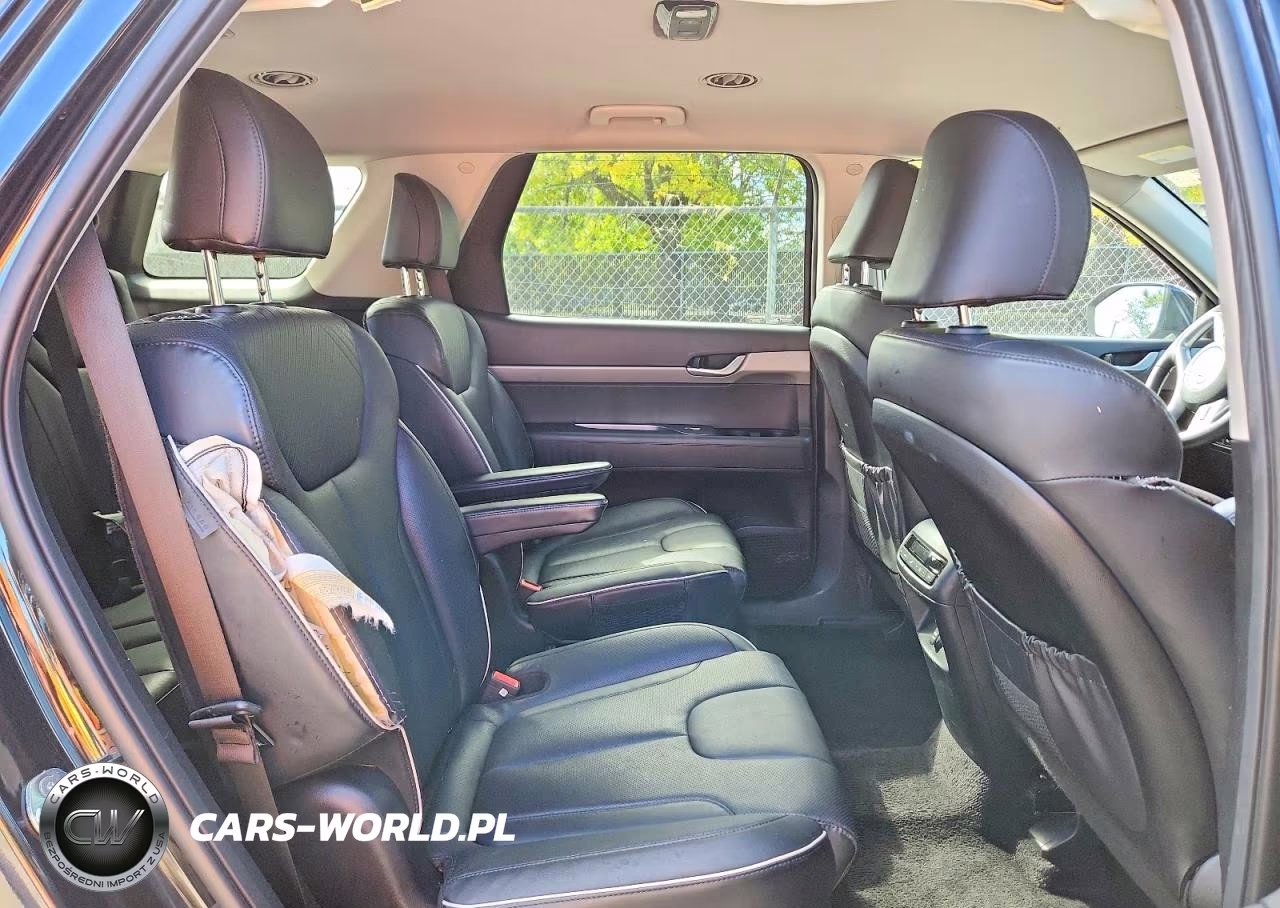 2025 Hyundai Palisade Sel VIN:KM8R2DGE4SU845693 - 10