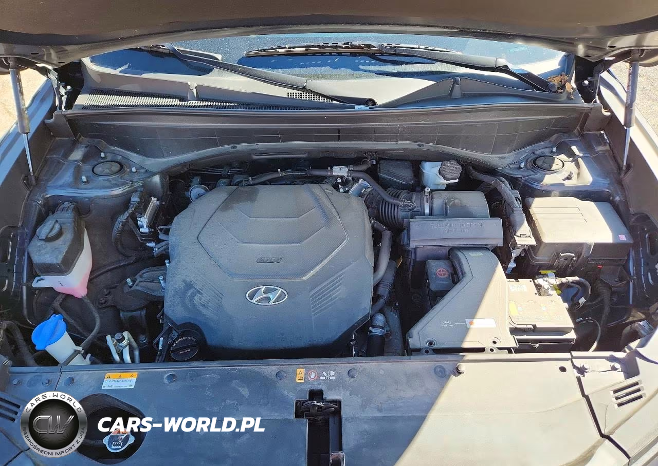 2025 Hyundai Palisade Sel VIN:KM8R2DGE4SU845693 - 11