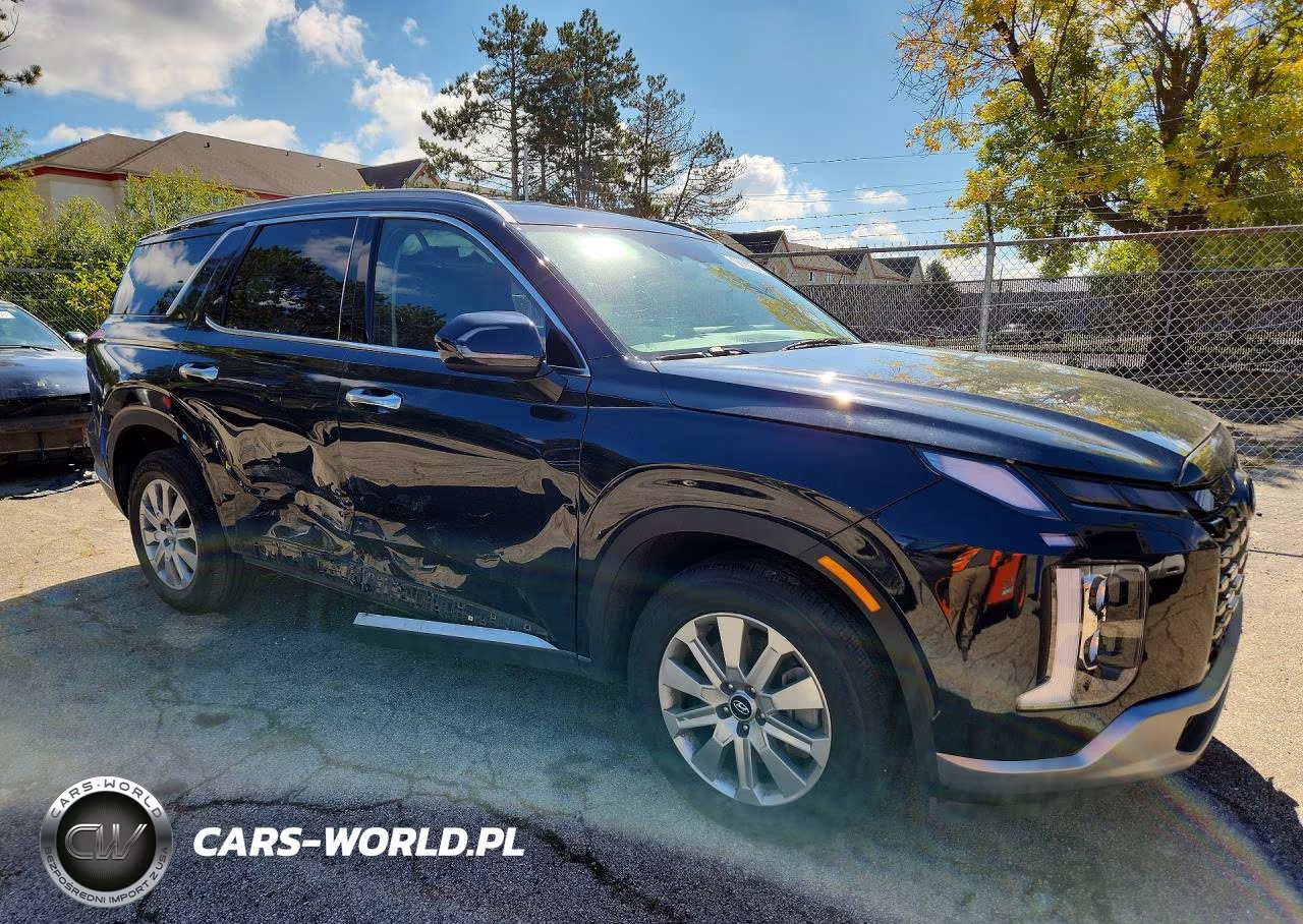 2025 Hyundai Palisade Sel VIN:KM8R2DGE4SU845693 - 4