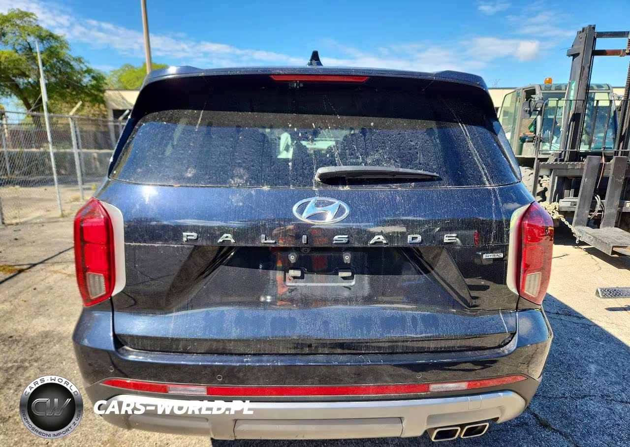 2025 Hyundai Palisade Sel VIN:KM8R2DGE4SU845693 - 6