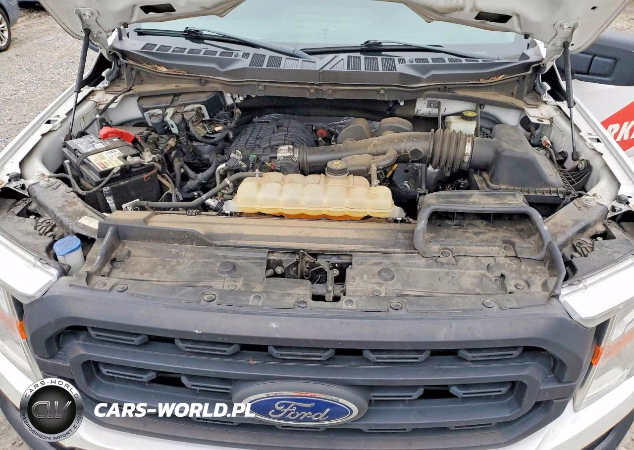 2021 Ford F150 VIN:1FTMF1CB7MKE69874 - 11