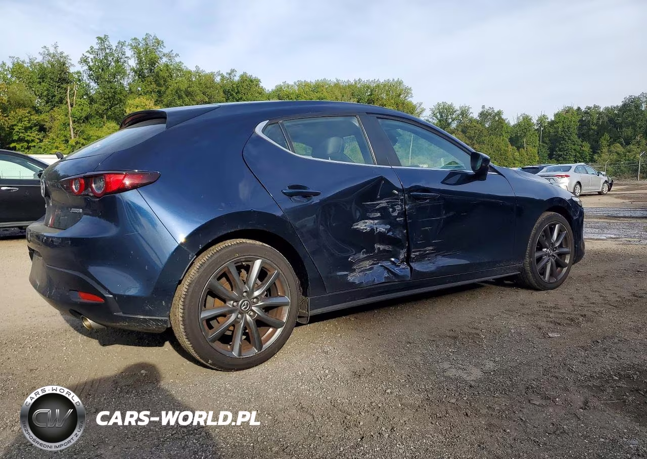 2019 Mazda 3 VIN:JM1BPAJMXK1131705 - 3