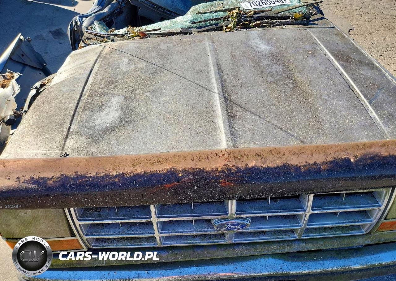 1991 Ford Ranger VIN:1FTCR10U3MPA17268 - 11