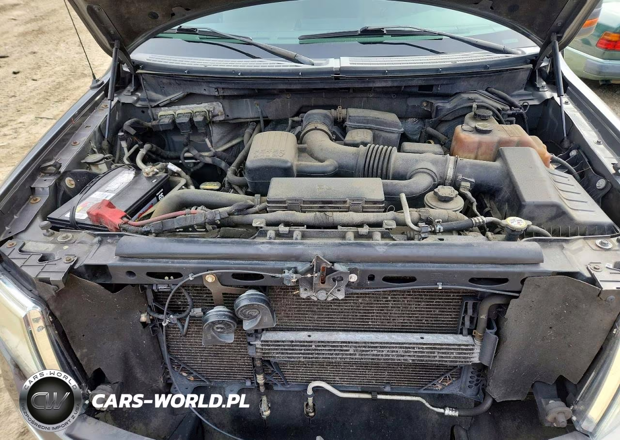 2010 Ford F150 Supercrew VIN:1FTFW1EV1AFA57311 - 11