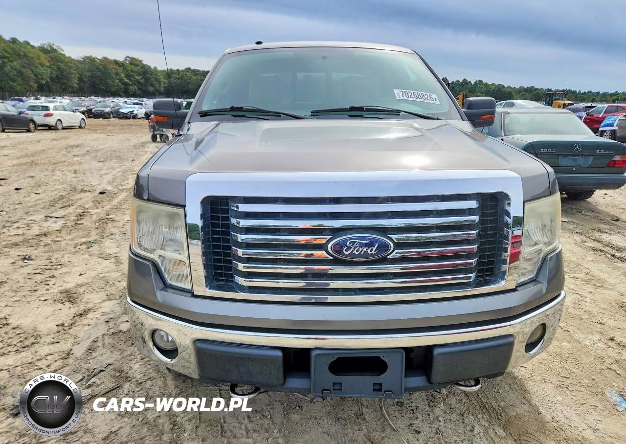 2010 Ford F150 Supercrew VIN:1FTFW1EV1AFA57311 - 5