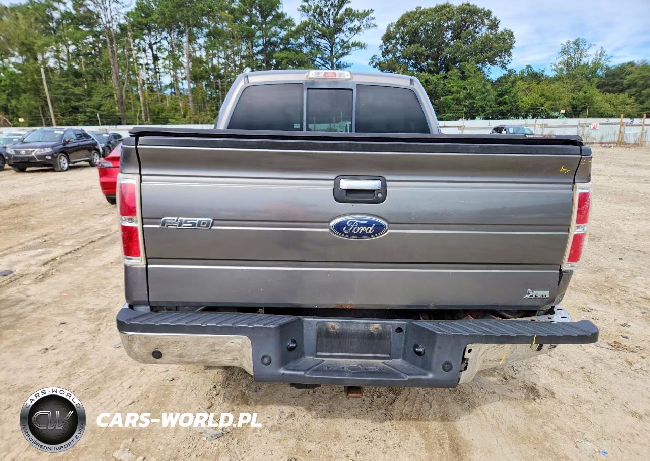 2010 Ford F150 Supercrew VIN:1FTFW1EV1AFA57311 - 6