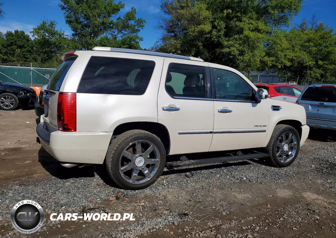 2013 Cadillac Escalade Luxury VIN:1GYS4BEF7DR243175 - 3