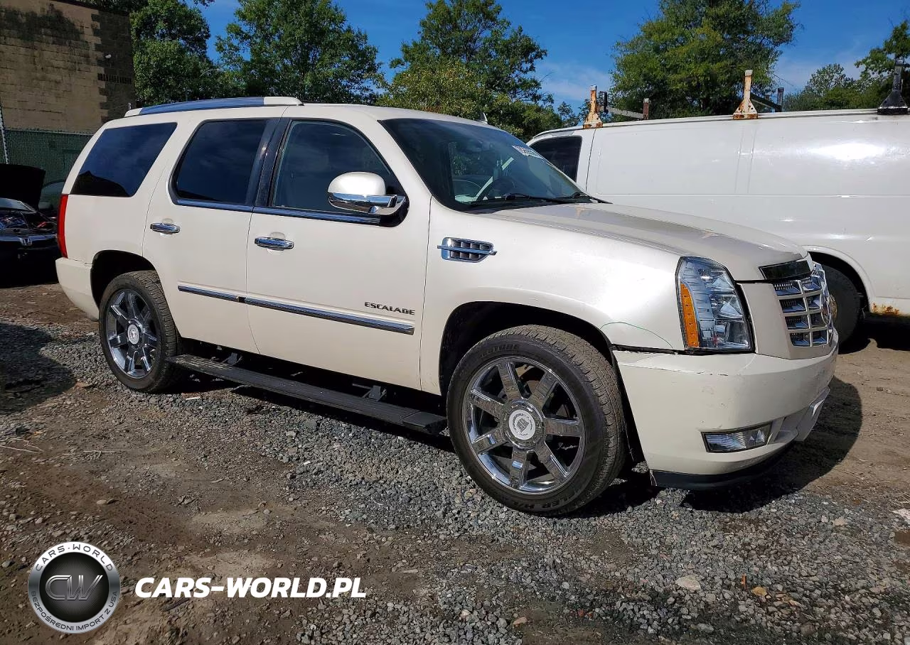2013 Cadillac Escalade Luxury VIN:1GYS4BEF7DR243175 - 4