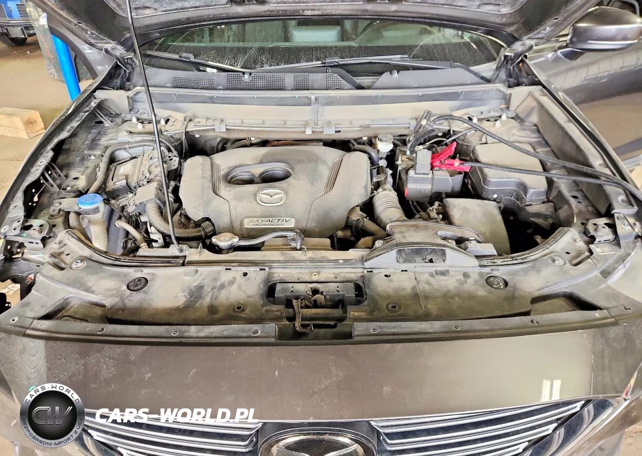 2017 Mazda Cx-9 Grand Touring VIN:JM3TCBDY6H0142971 - 12
