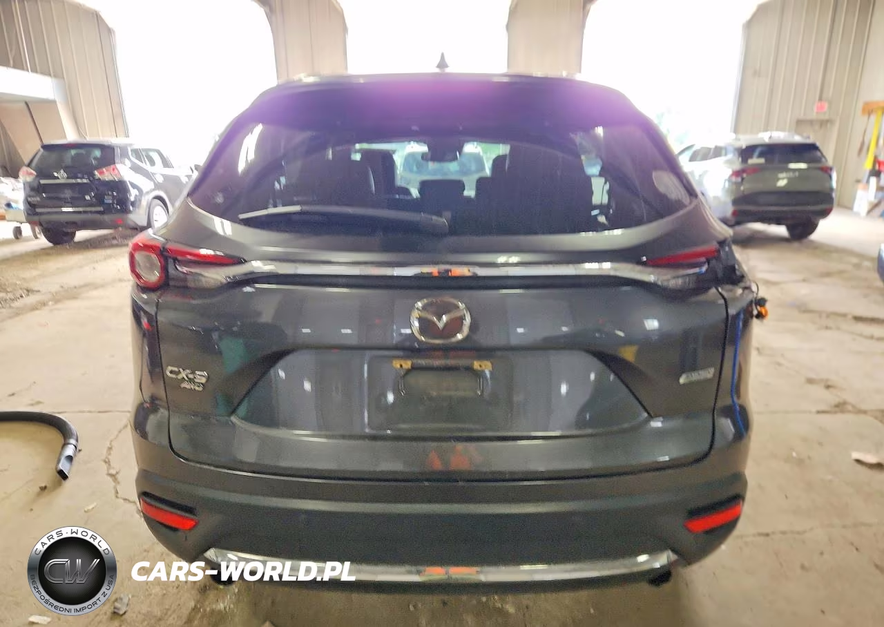 2017 Mazda Cx-9 Grand Touring VIN:JM3TCBDY6H0142971 - 6