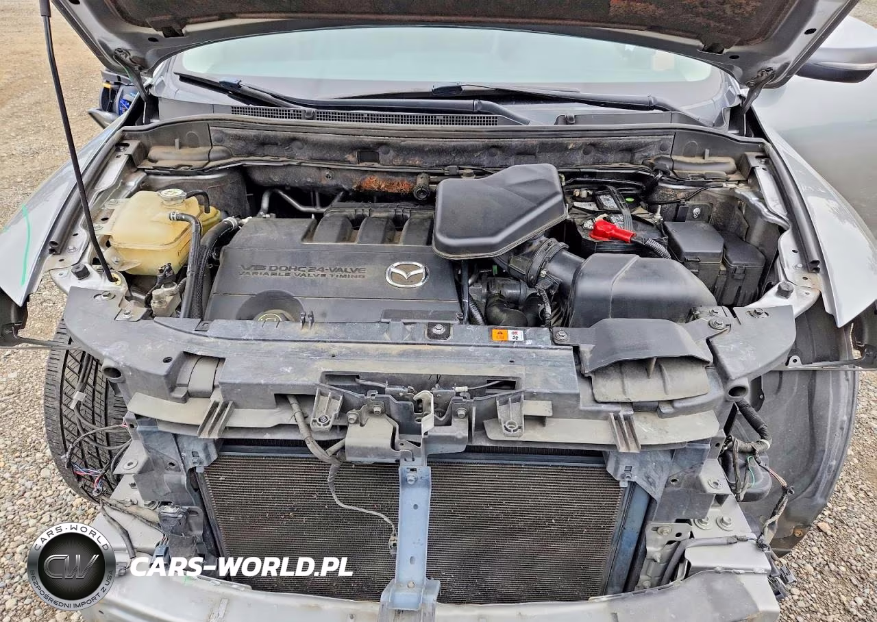 2012 Mazda Cx-9 VIN:JM3TB3DV1C0351008 - 12