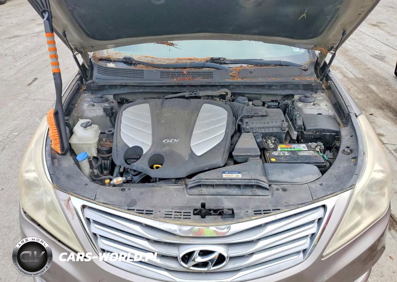 2013 Hyundai Azera Base VIN:KMHFH4JG5DA280533 - 11