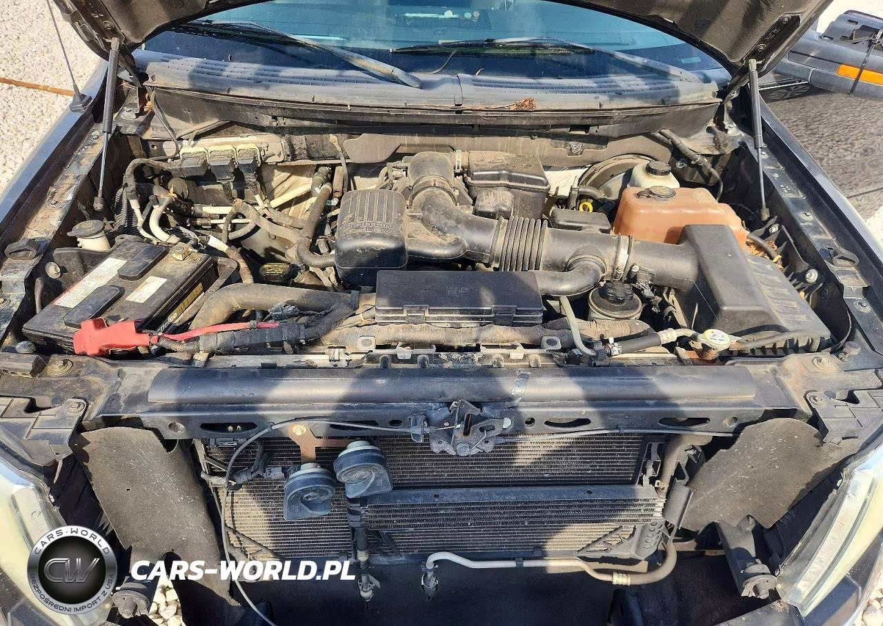 2010 Ford F150 Supercrew VIN:1FTFW1CV3AKB83745 - 11