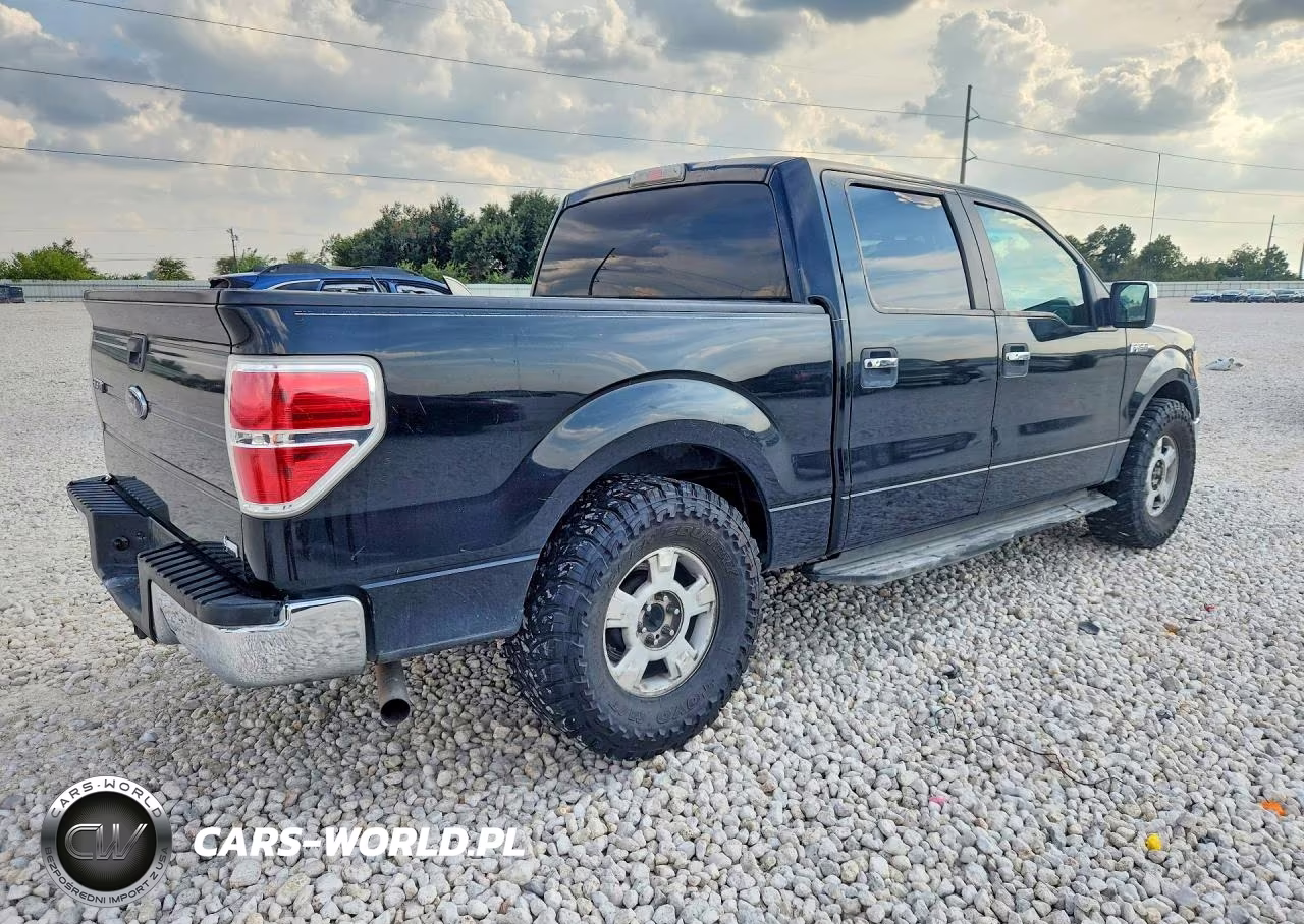 2010 Ford F150 Supercrew VIN:1FTFW1CV3AKB83745 - 3