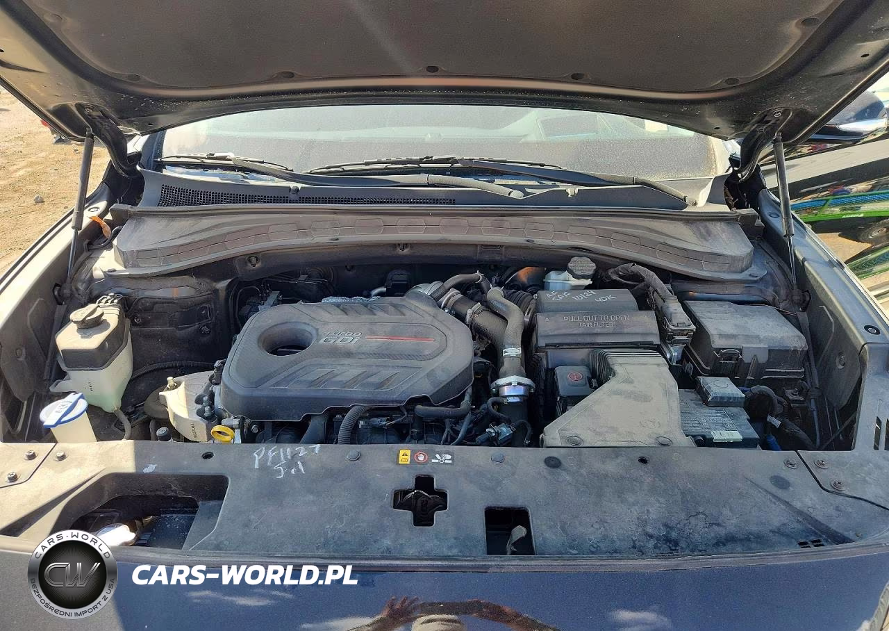 2019 Hyundai Santa Fe Ultimate 2.0T VIN:5NMS53AA8KH107500 - 12