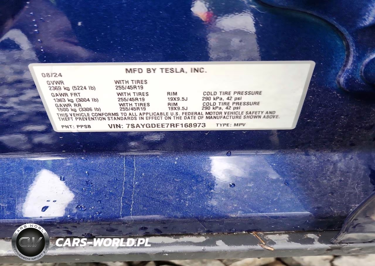 2024 Tesla Model Y VIN:7SAYGDEE7RF168973 - 12