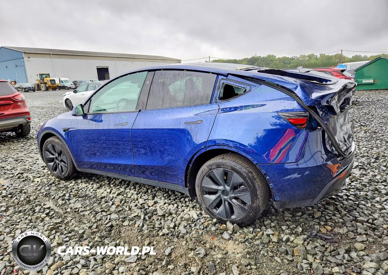 2024 Tesla Model Y VIN:7SAYGDEE7RF168973 - 2