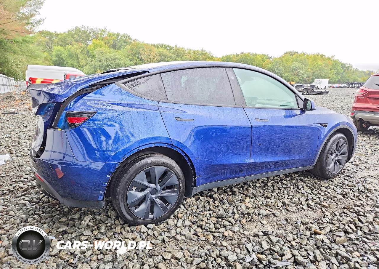 2024 Tesla Model Y VIN:7SAYGDEE7RF168973 - 3