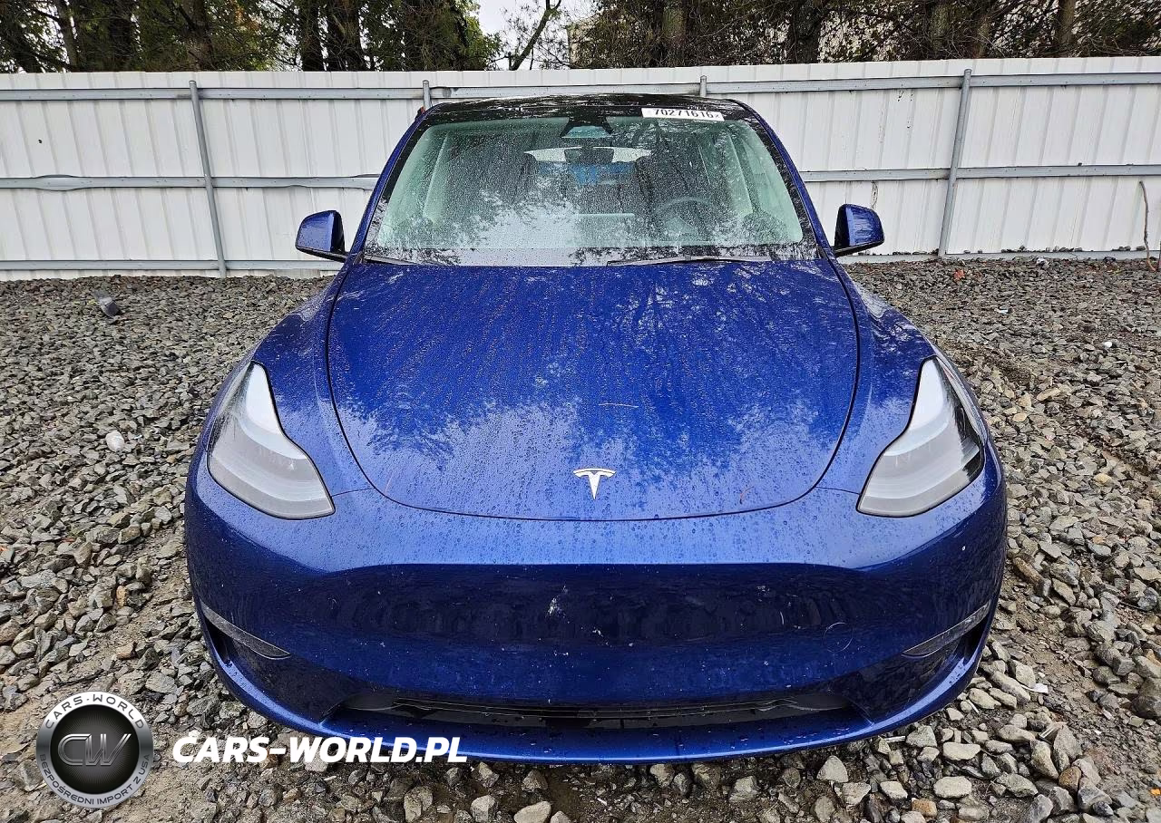 2024 Tesla Model Y VIN:7SAYGDEE7RF168973 - 5