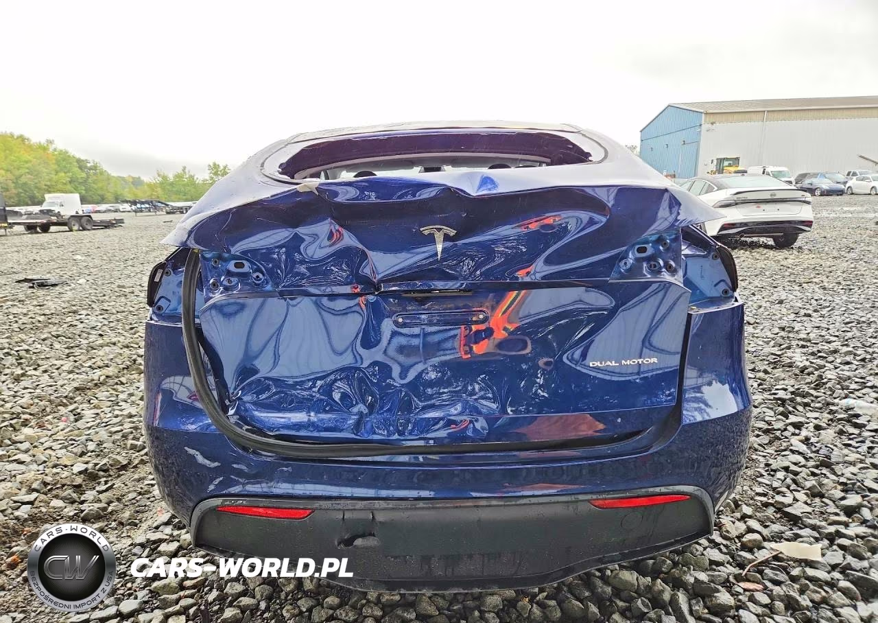 2024 Tesla Model Y VIN:7SAYGDEE7RF168973 - 6