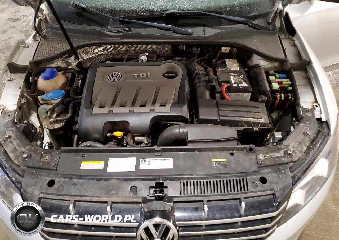 2014 Volkswagen Passat Sel VIN:1VWCN7A3XEC107964 - 11