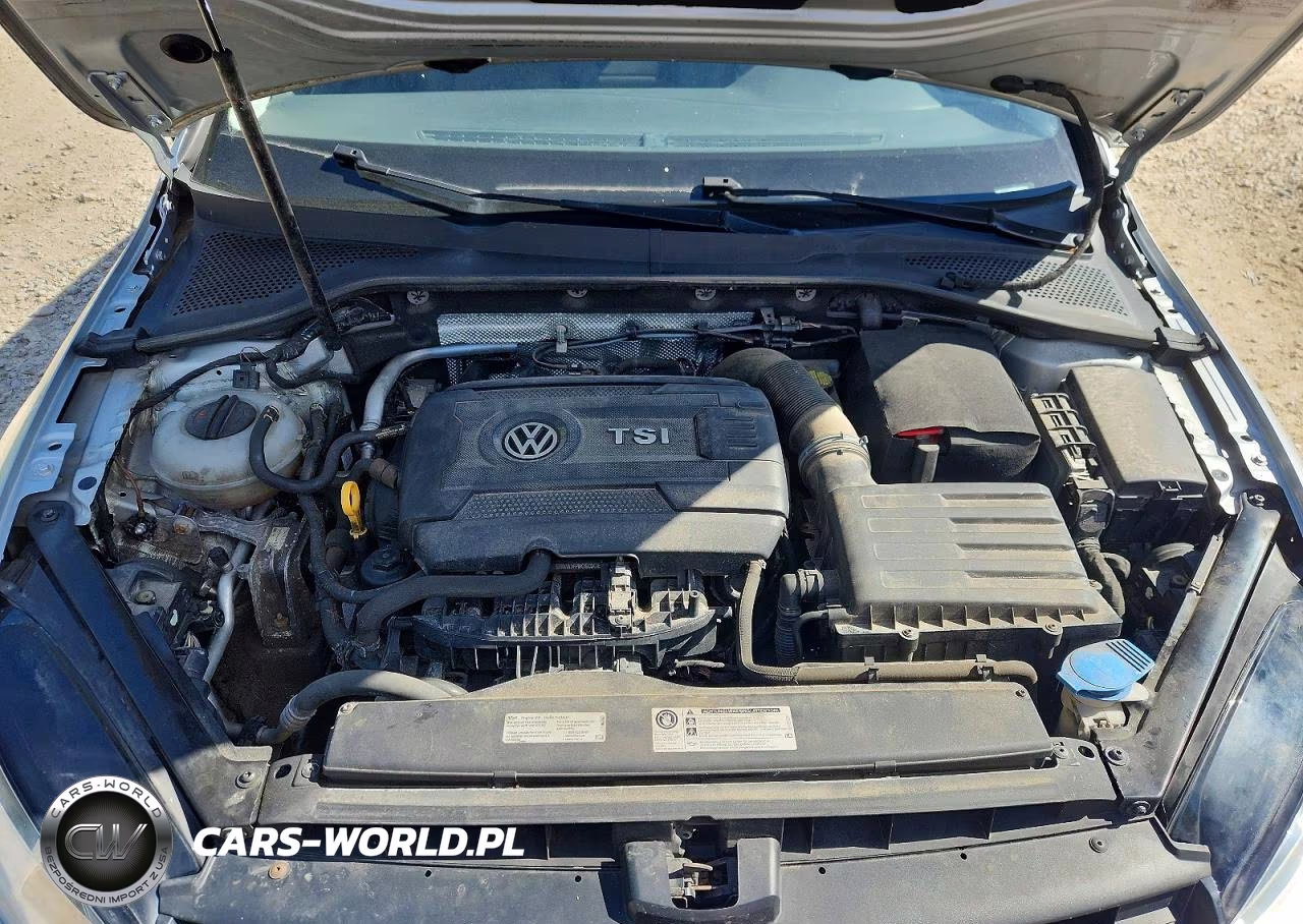 2016 Volkswagen Golf Sportwagen S VIN:3VWC17AU0GM516108 - 11