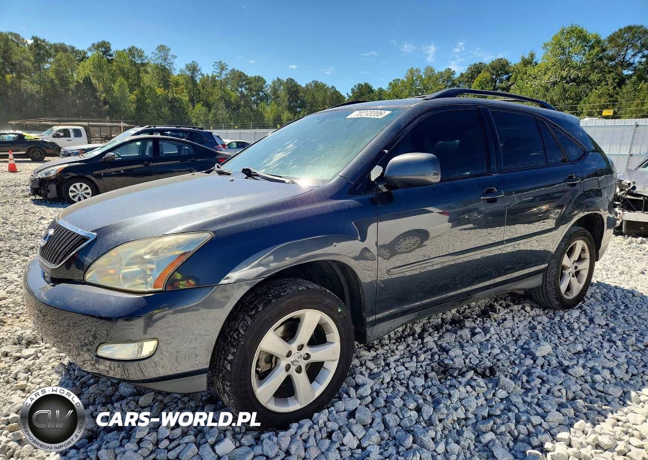2004 Lexus Rx 330 VIN:2T2GA31U14C012521 - 1