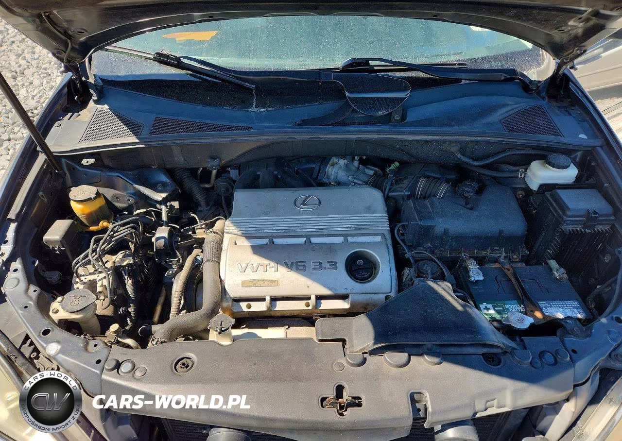 2004 Lexus Rx 330 VIN:2T2GA31U14C012521 - 12