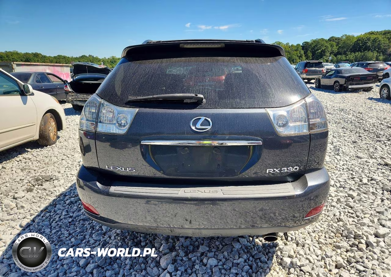 2004 Lexus Rx 330 VIN:2T2GA31U14C012521 - 6