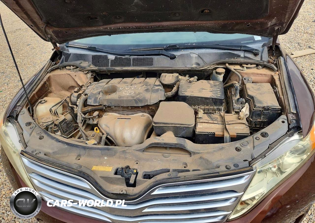 2009 Toyota Venza Fwd 4Cyl VIN:4T3ZE11A89U018390 - 12