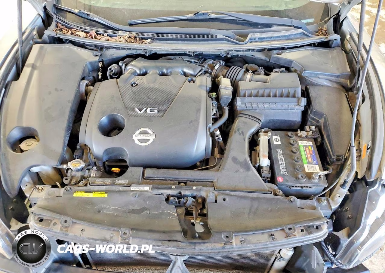 2009 Nissan Maxima 3.5 S VIN:1N4AA51E39C852515 - 11