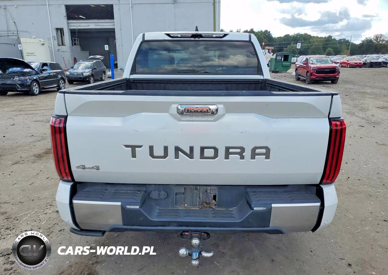 2022 Toyota Tundra Crewmax Capstone VIN:5TFVC5DB4NX002144 - 6