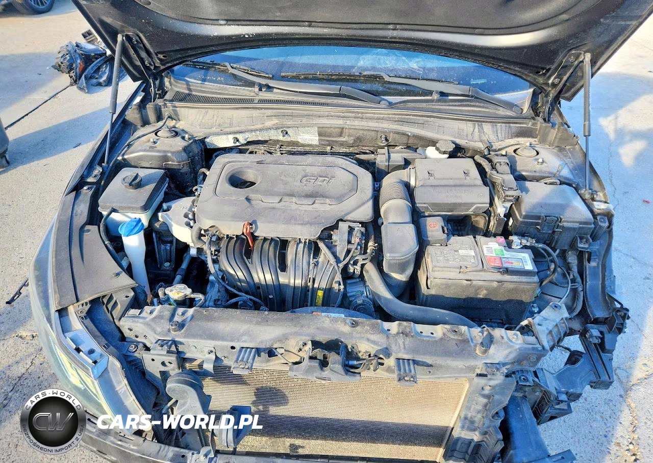 2020 Kia Optima Lx VIN:5XXGT4L31LG426477 - 11