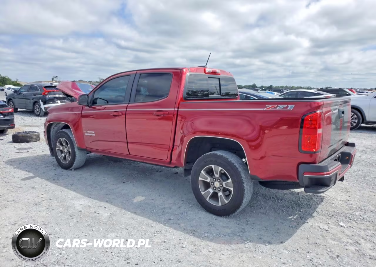 2019 Chevrolet Colorado Z71 VIN:1GCGSDEN0K1343876 - 2