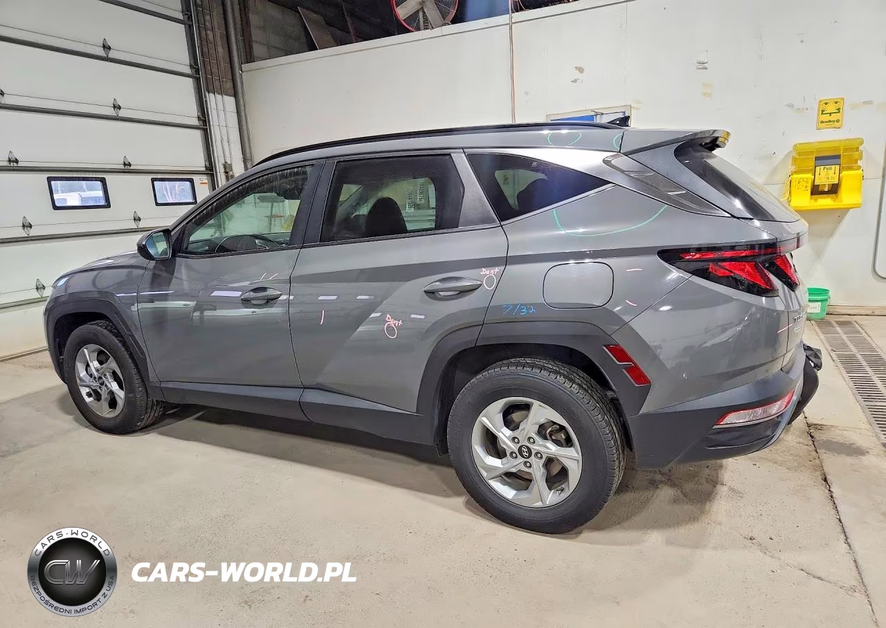 2024 Hyundai Tucson Sel VIN:5NMJBCDE7RH325649 - 2