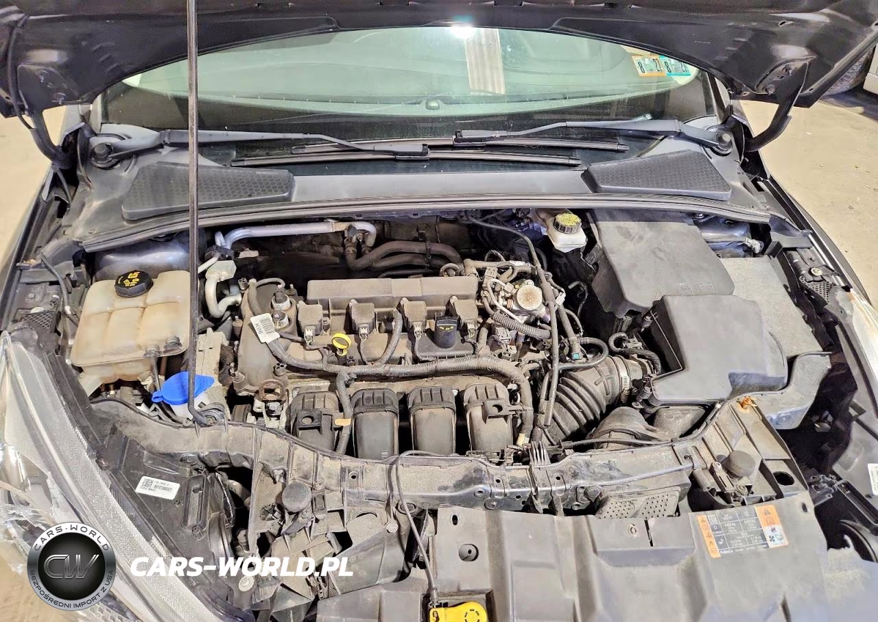 2018 Ford Focus Se VIN:1FADP3K22JL315627 - 10