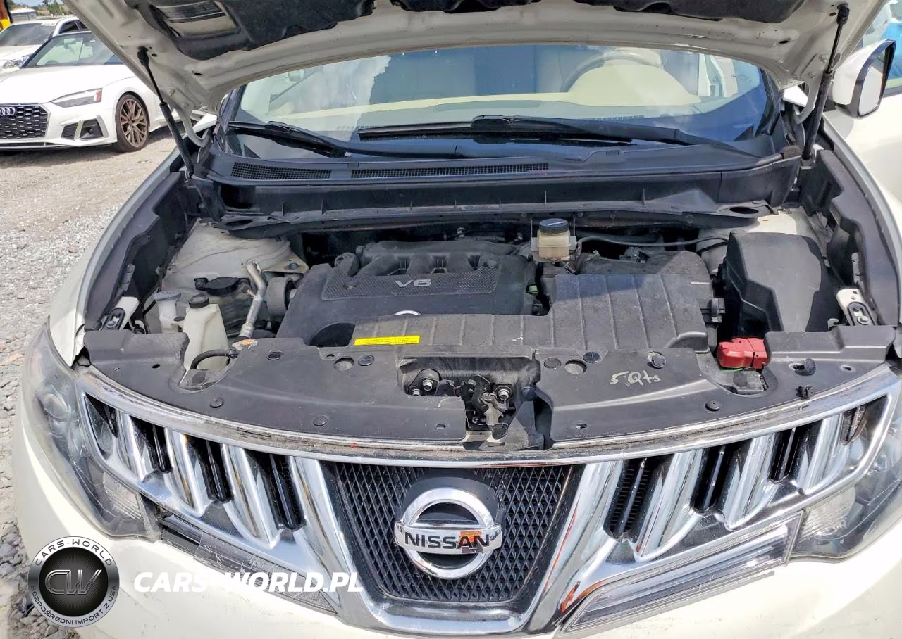 2010 Nissan Murano S VIN:JN8AZ1MW6AW136876 - 11